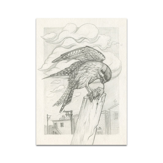 P8 - Andrew Ghrist Postcard 2