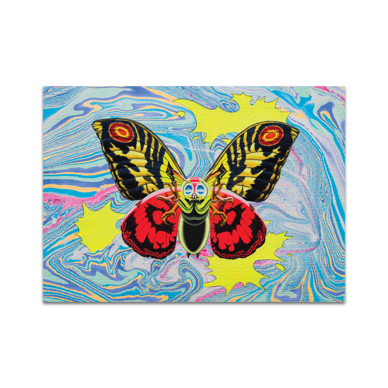 P8 - ケイン・コカリス ポストカード 4