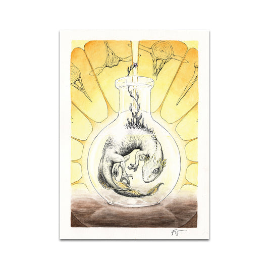 P8 - Petra Frankova Postcard 4