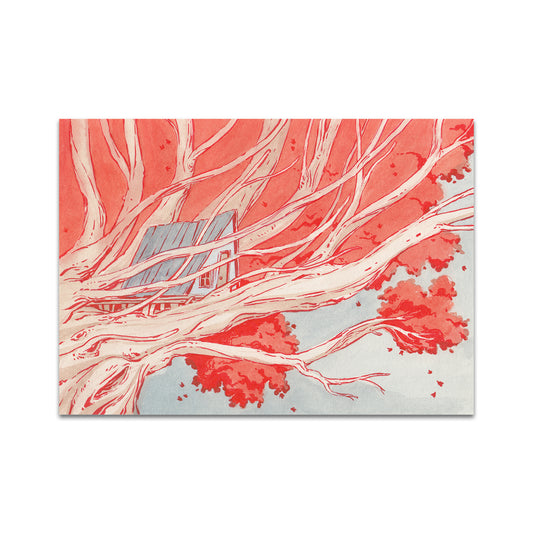 P8 - Riccardo Pagni Postcard 2