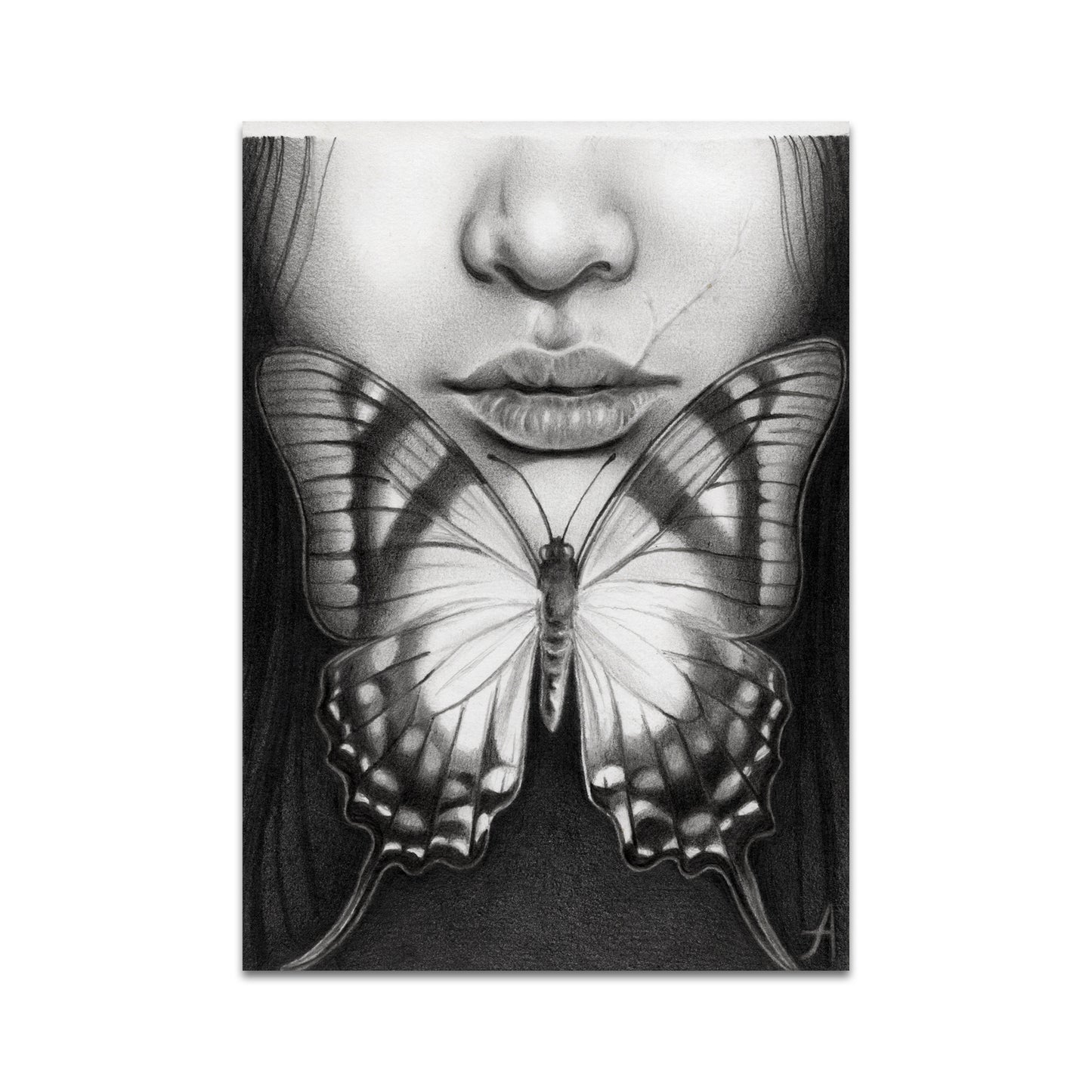 P9 - Amelia Hofsteede Postcard 4