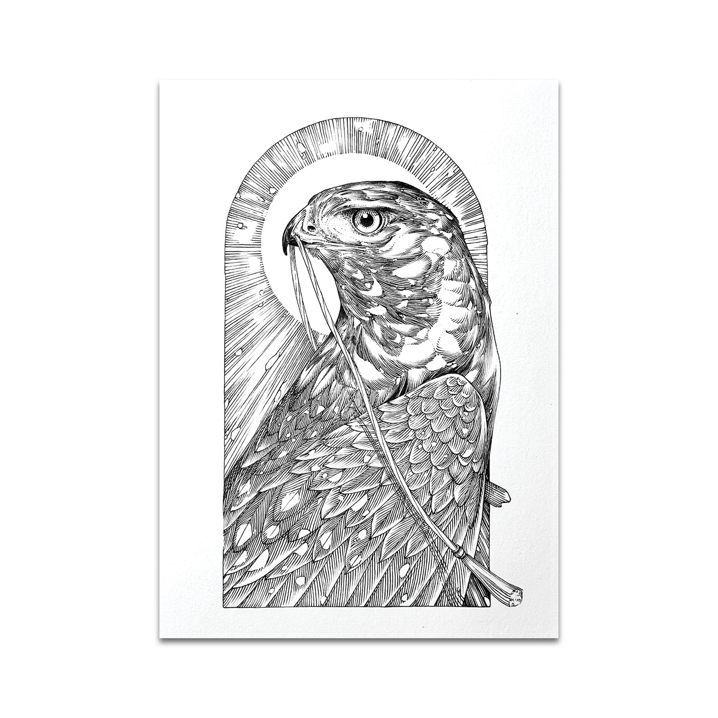 P9 - アンバー・スカイ・アルコック ポストカード 1