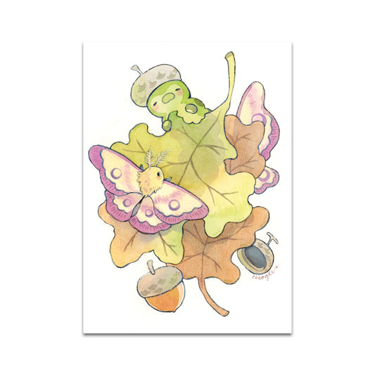 P9 - ソフィア・キウチ ポストカード 1