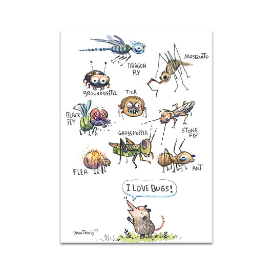 P9 - アナイス・フロニー ポストカード 1