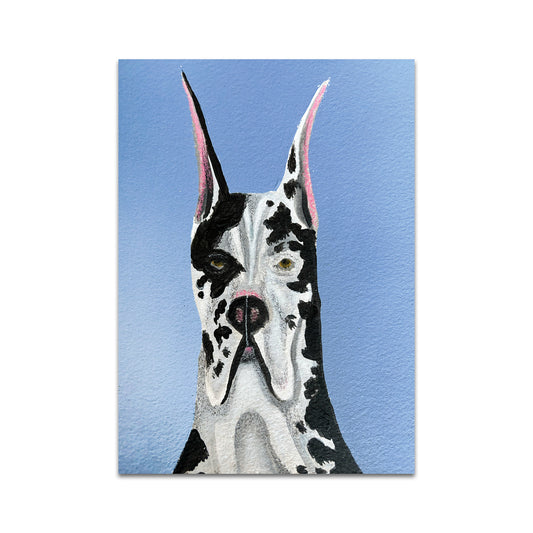 P9 - アンバー・スカイ・アルコック ポストカード 1