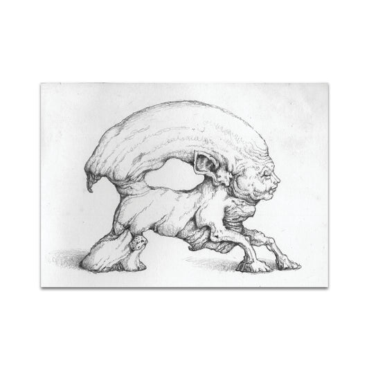 P9 - キャロリン・リアリー・プリン ポストカード 2