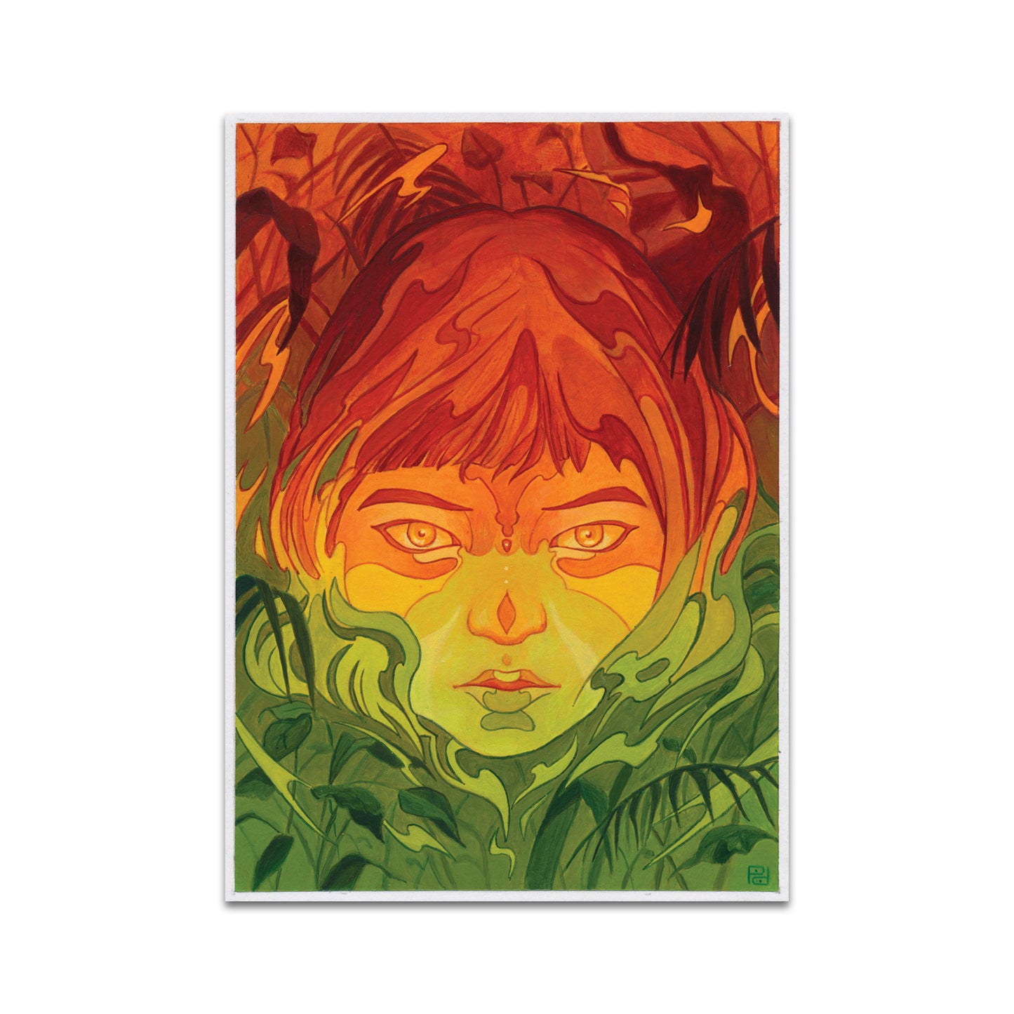 P9 - パラキッドポストカード1