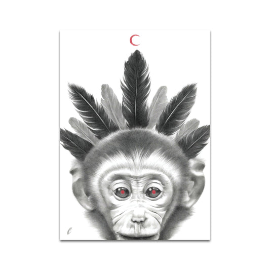 P9 - パラキッドポストカード1