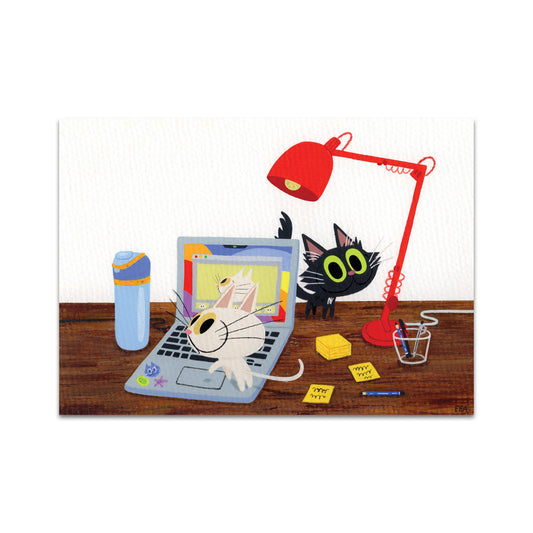 P9 - パラキッドポストカード1