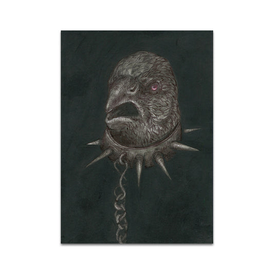 P9 - ヤナ・ハイダースドルフ ポストカード 1