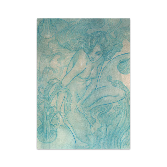 P9 - パラキッドポストカード1