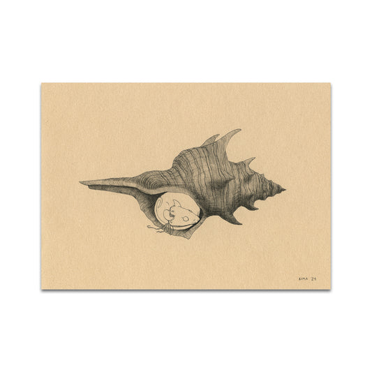 P9 - キャロリン・リアリー・プリン ポストカード 2