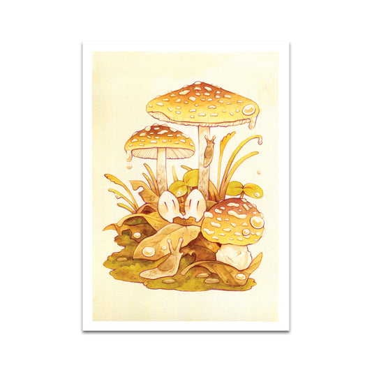 P9 - ヘイゼル・アン ポストカード 2