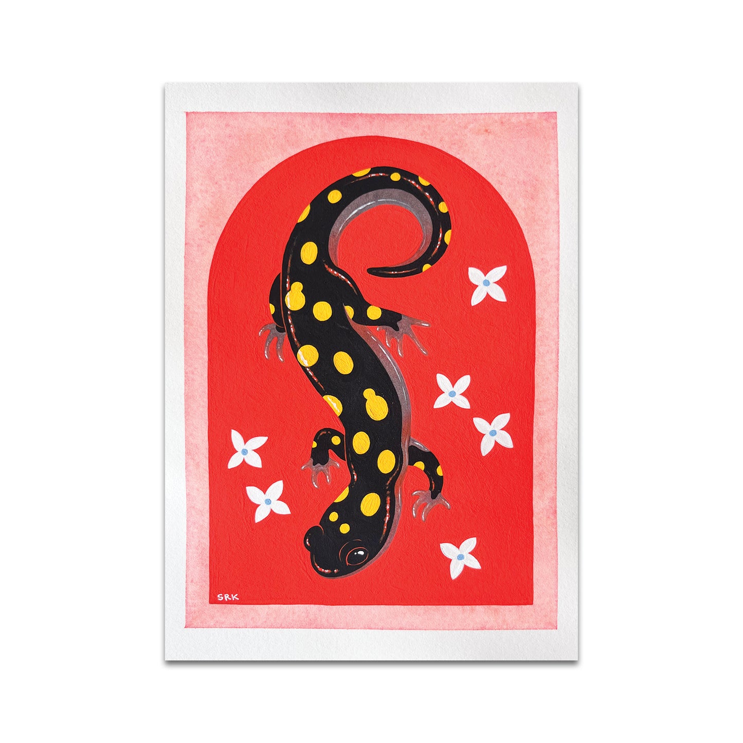 P9 - Shannon Knight Postcard 2