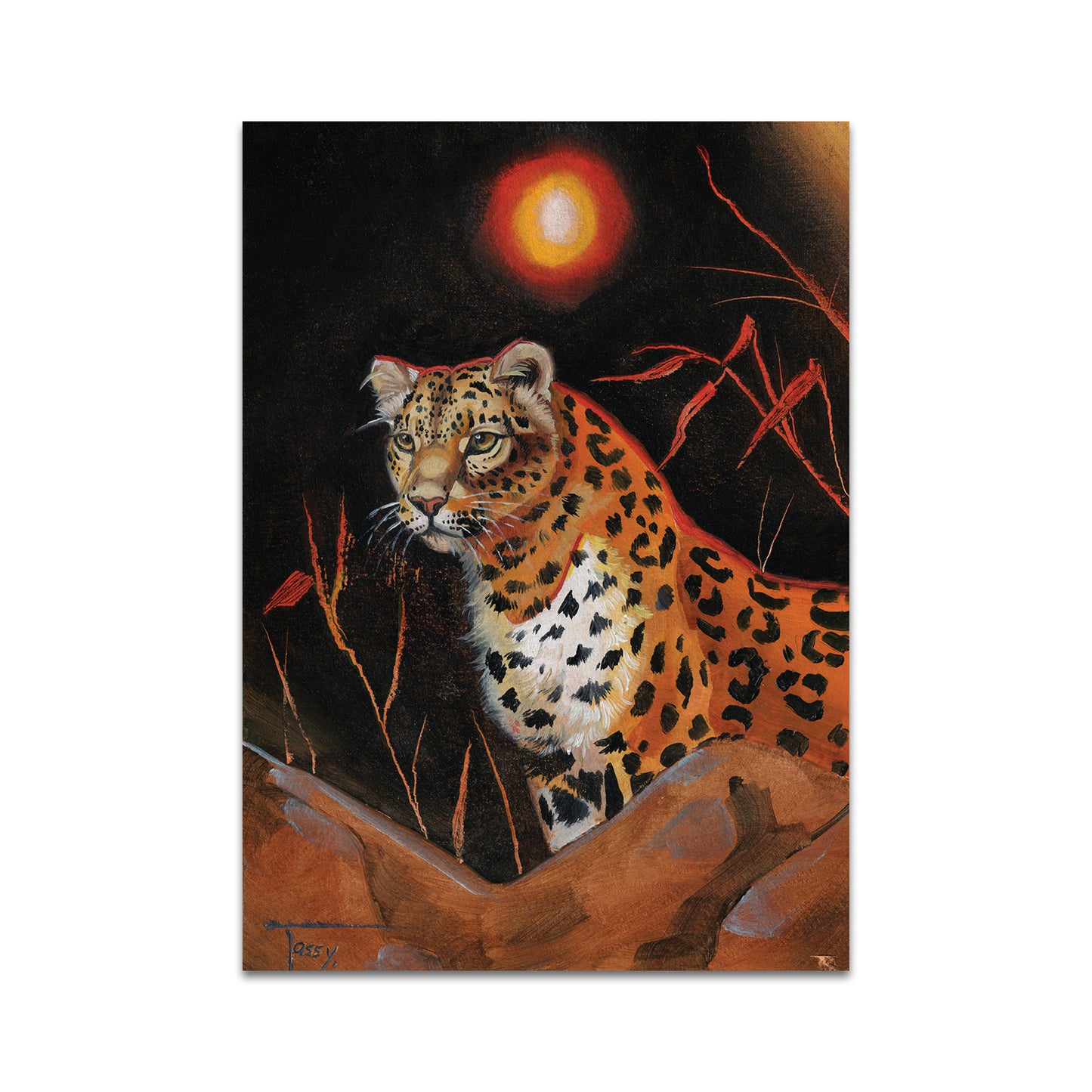 P9 - タッシーポストカード4