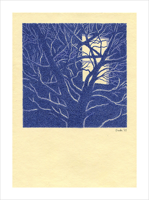 Dadu Shin - Window Print