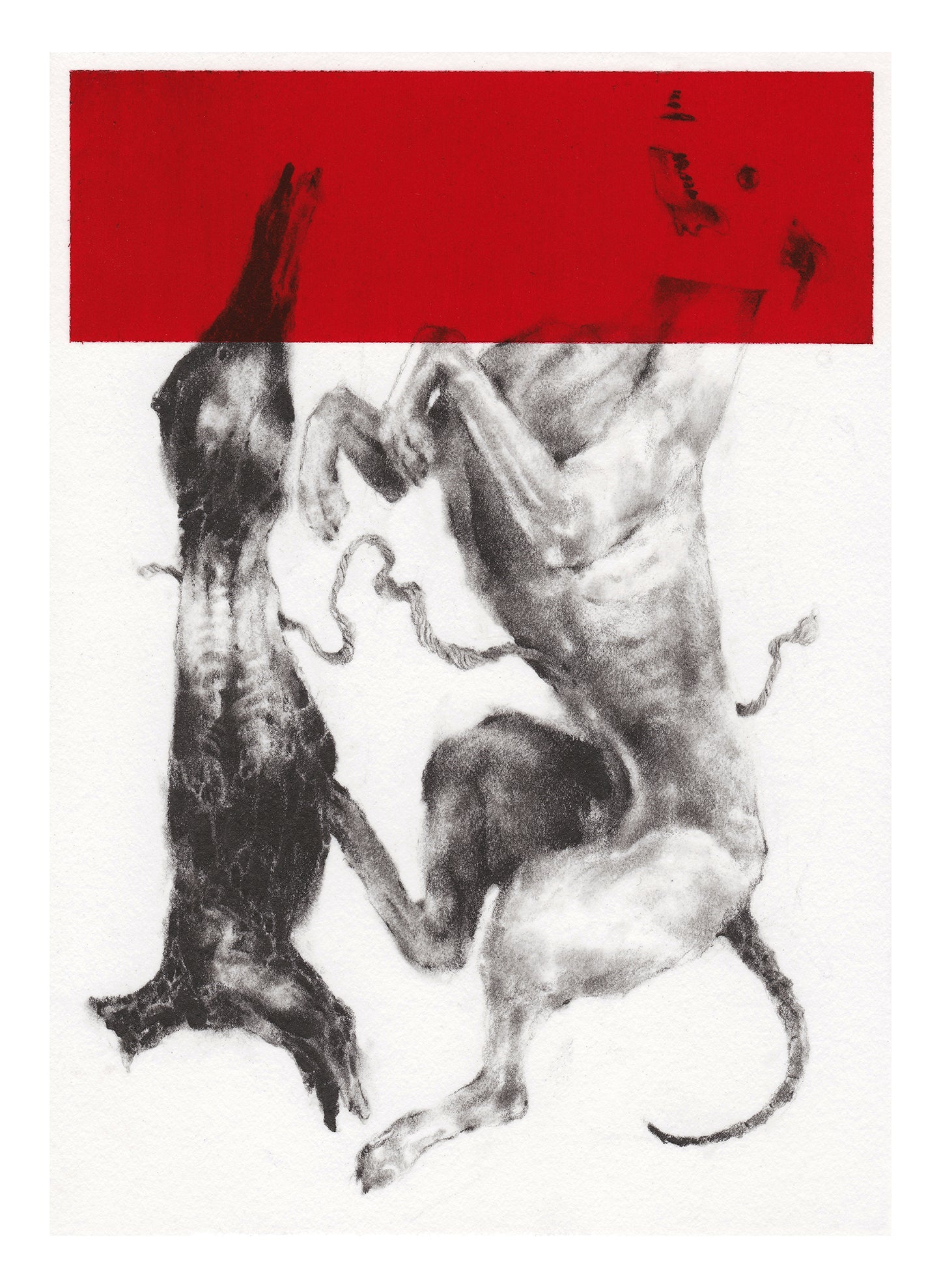 Dusty Ray - Stasis 12 Print