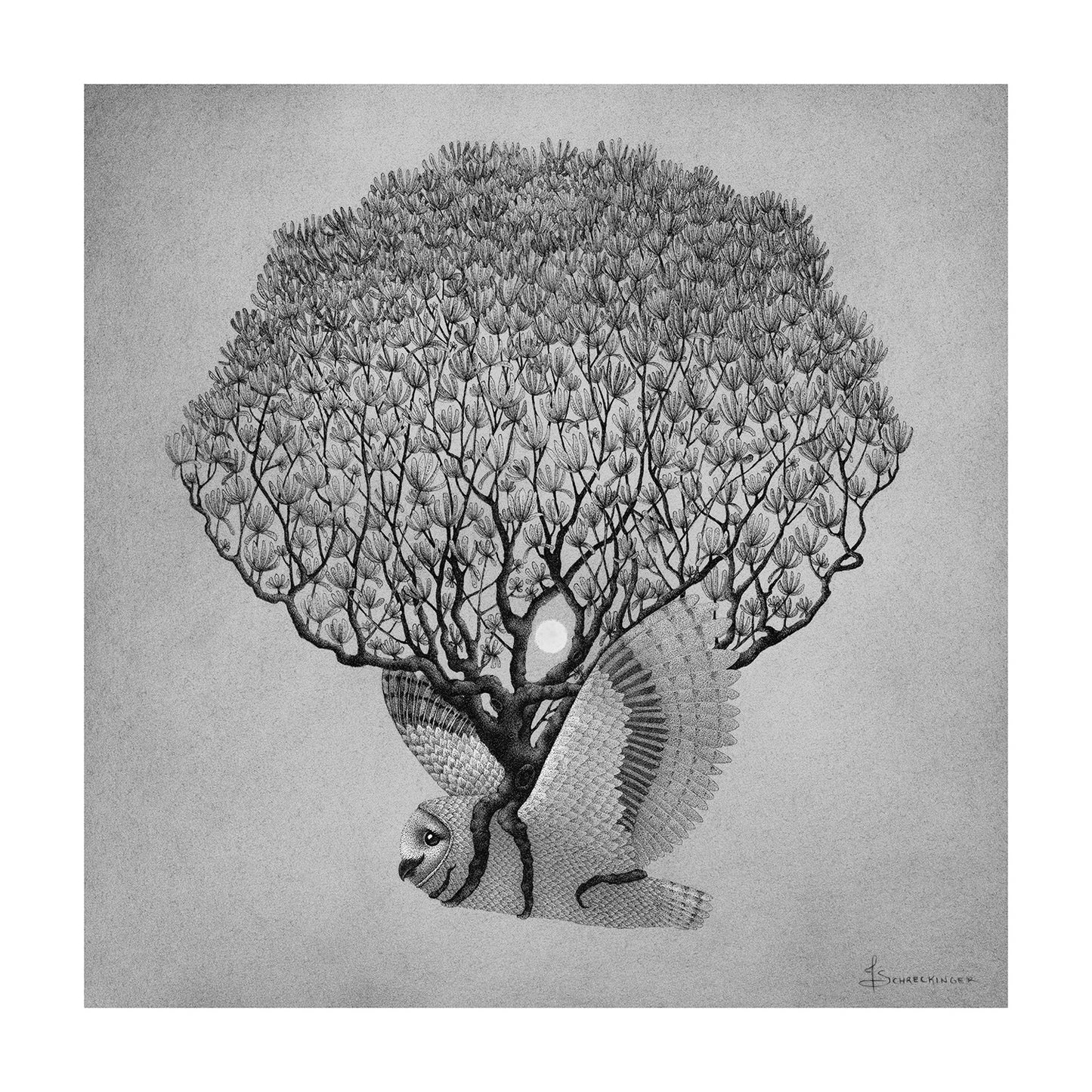 Juliet Schreckinger - Maeve the Barn Owl and Maggie the Magnolia Tree Print