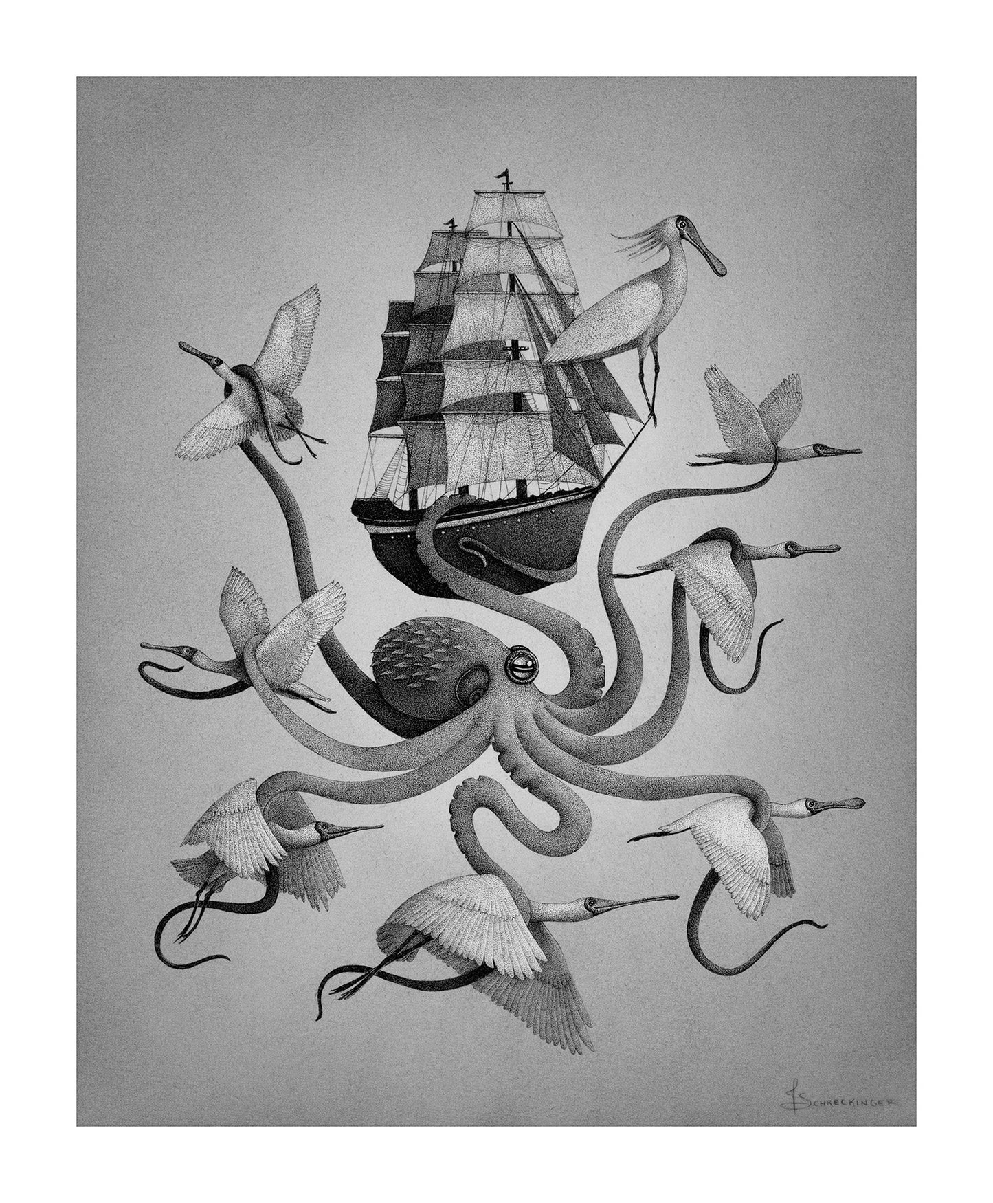 Juliet Schreckinger - The Sailing Spoonbills Print