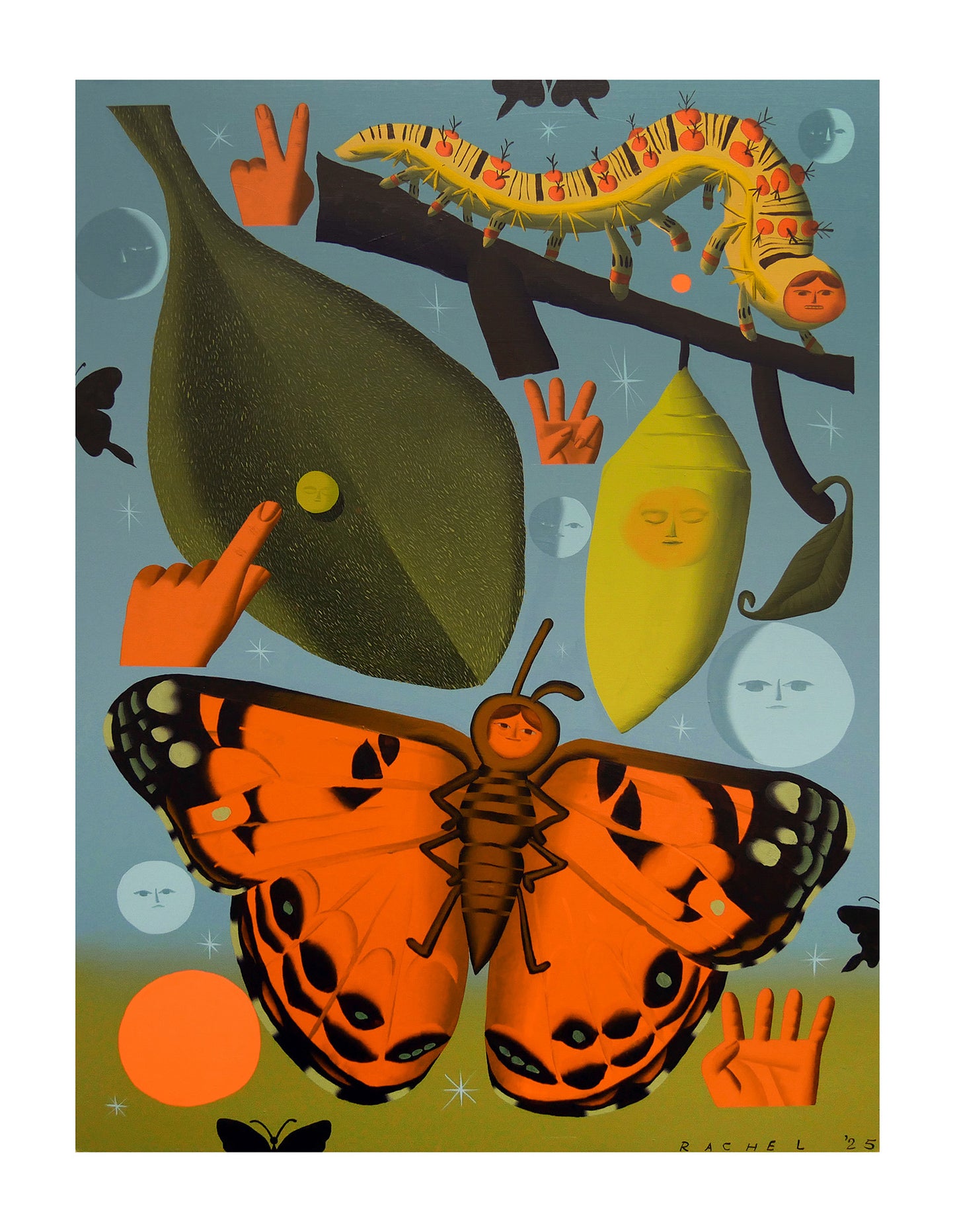 Rachel Hayden - Butterfly Life Cycle Print