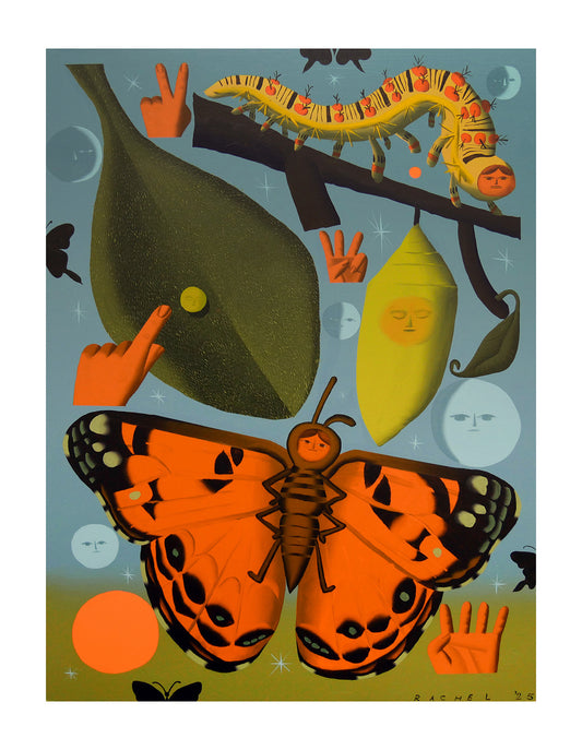 Rachel Hayden - Butterfly Life Cycle Print