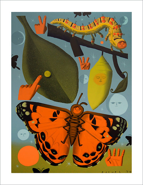 Rachel Hayden - Butterfly Life Cycle Print