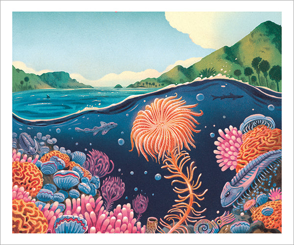 Sean Lewis - Fossils Print