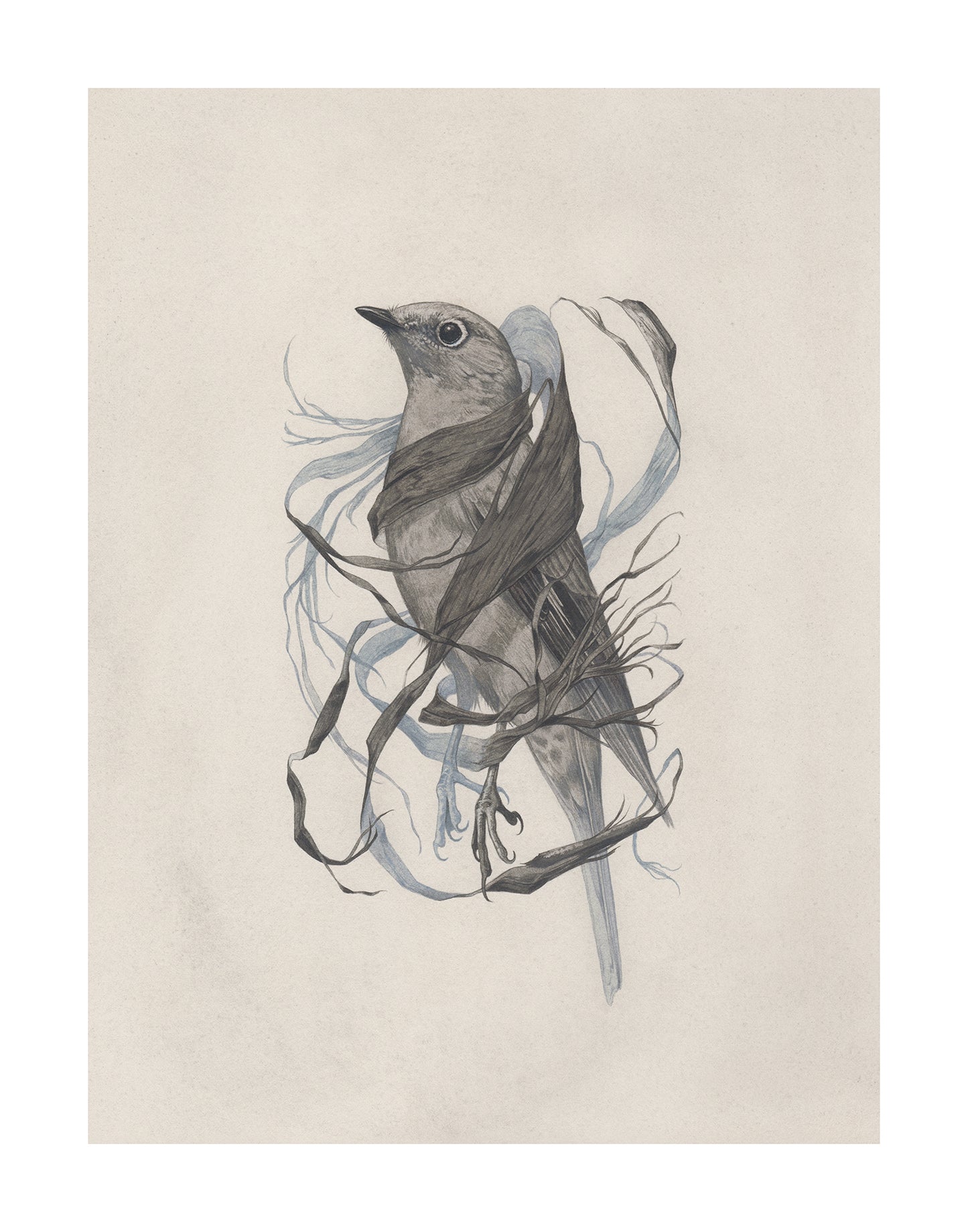 Teagan White - Exposed Canopy Print