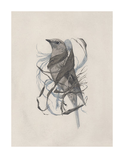 Teagan White - Exposed Canopy Print