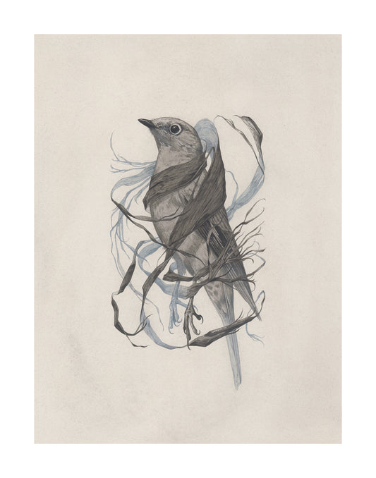 Teagan White - Exposed Canopy Print