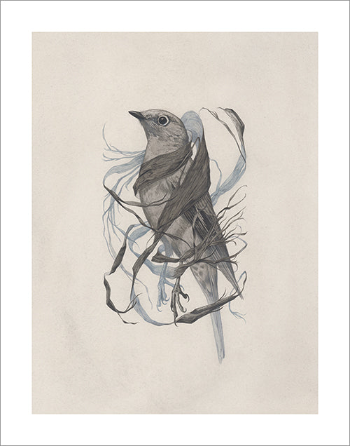 Teagan White - Exposed Canopy Print