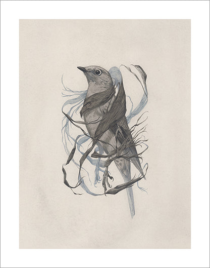 Teagan White - Exposed Canopy Print