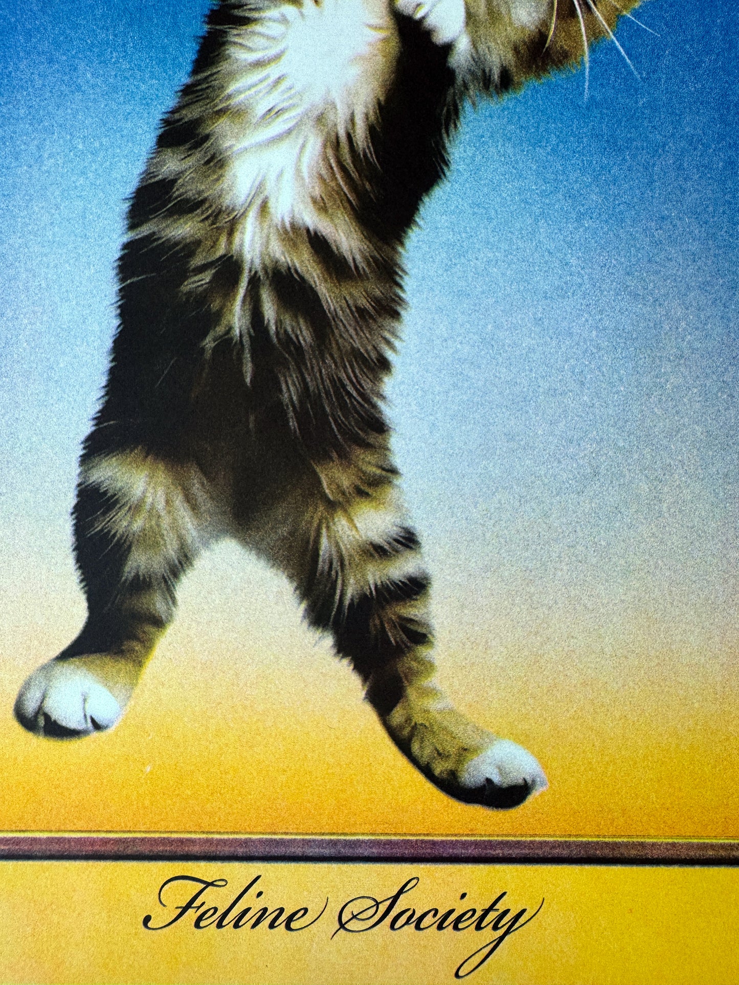 Adrian Contreras - Hang In There Risograph