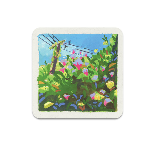 S10 Amanda Grose - Coaster 3