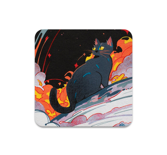 S10 Andrew Brandou - Coaster 6