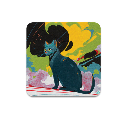 S10 Andrew Brandou - Coaster 7