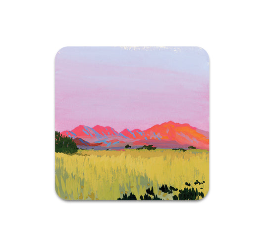 S10 Ariel Lee - Coaster 2