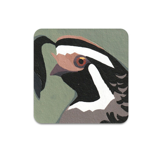 S10 Austin Reinkens - Coaster 4