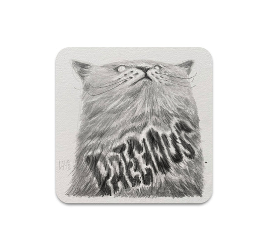 S10 Bayo - Coaster 5