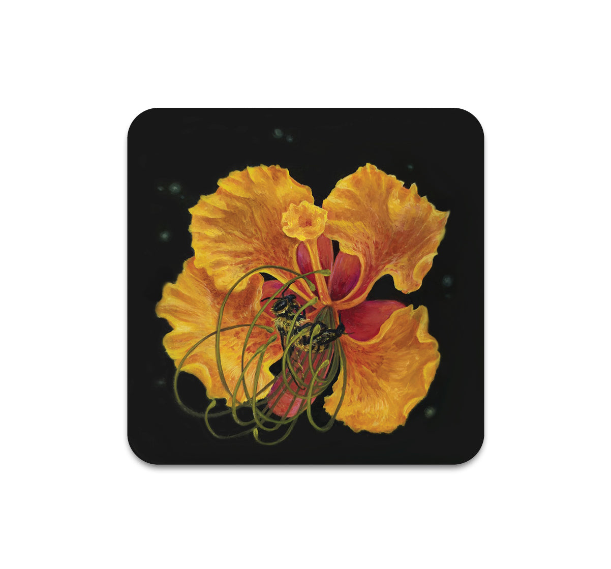 S10 Cecelia Wilken - Coaster 1