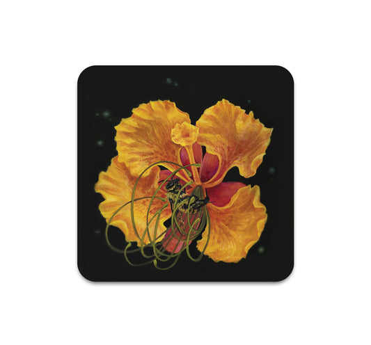 S10 Cecelia Wilken - Coaster 1