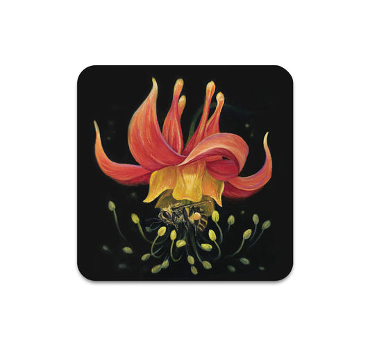 S10 Cecelia Wilken - Coaster 2