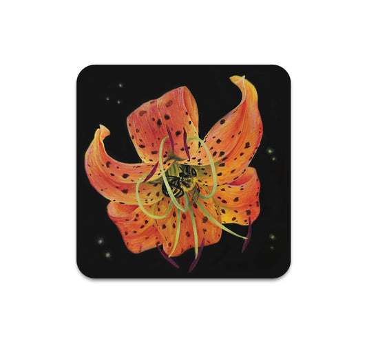 S10 Cecelia Wilken - Coaster 3