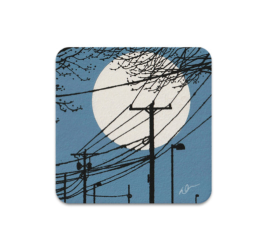 S10 Dan McCarthy - Coaster 1