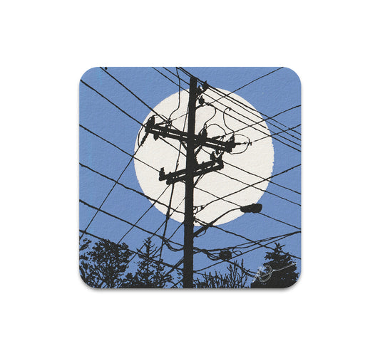 S10 Dan McCarthy - Coaster 10