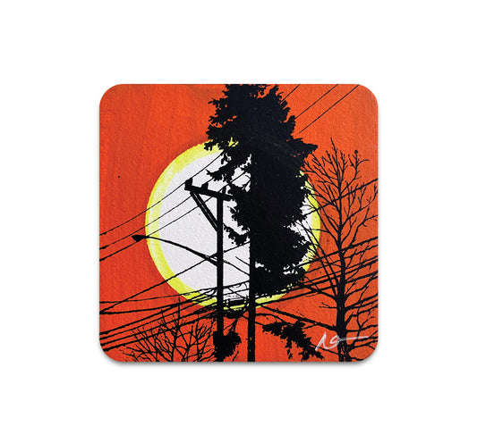 S10 Dan McCarthy - Coaster 7