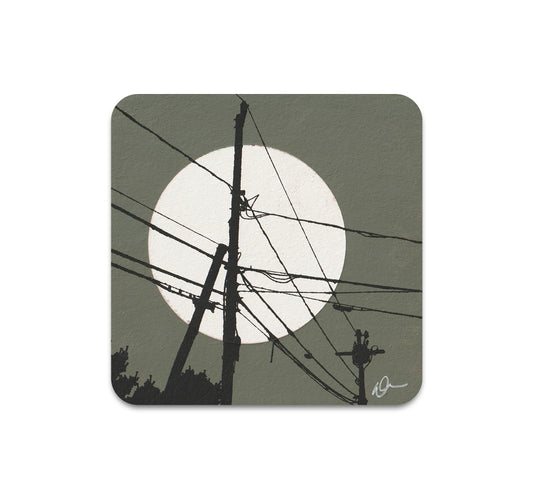 S10 Dan McCarthy - Coaster 8