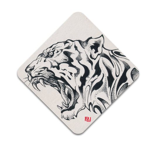 S10 Diego Penuela - Coaster 2