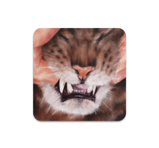 S10 Dusty Ray - Coaster 1