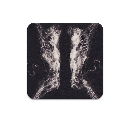 S10 Dusty Ray - Coaster 2